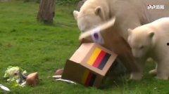 今日动物爆料最新消息,揭秘神秘生物新发现 第3张 今日动物爆料最新消息,揭秘神秘生物新发现 第3张