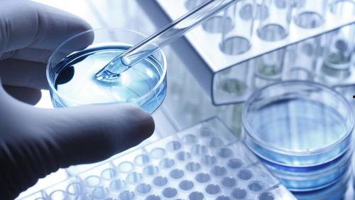 核酸爆料视频大全最新,最新视频大全深度解析 第3张 核酸爆料视频大全最新,最新视频大全深度解析 第3张